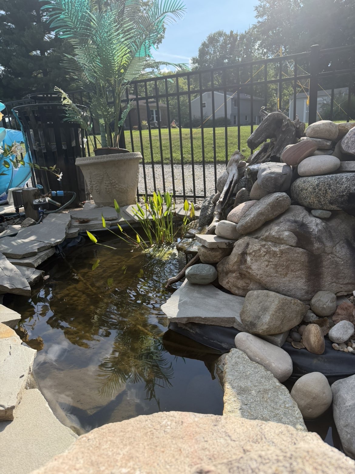 Backyard pond with natural boulder waterfall